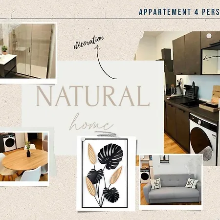 Natural 4 Pers Wifi Parking * Clermont-Ferrand