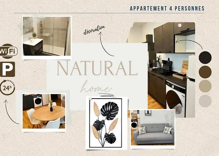 Natural 4 Pers Wifi Parking * 克莱蒙费朗
